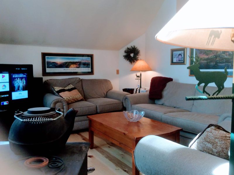 Upper living room with a cathedral ceiling and a sleeper sofa