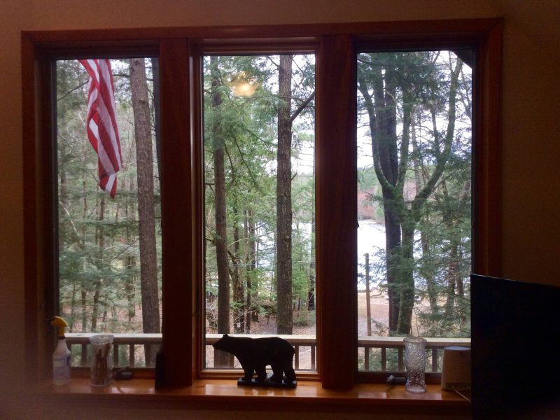 Windows with a US flag and the woods outside